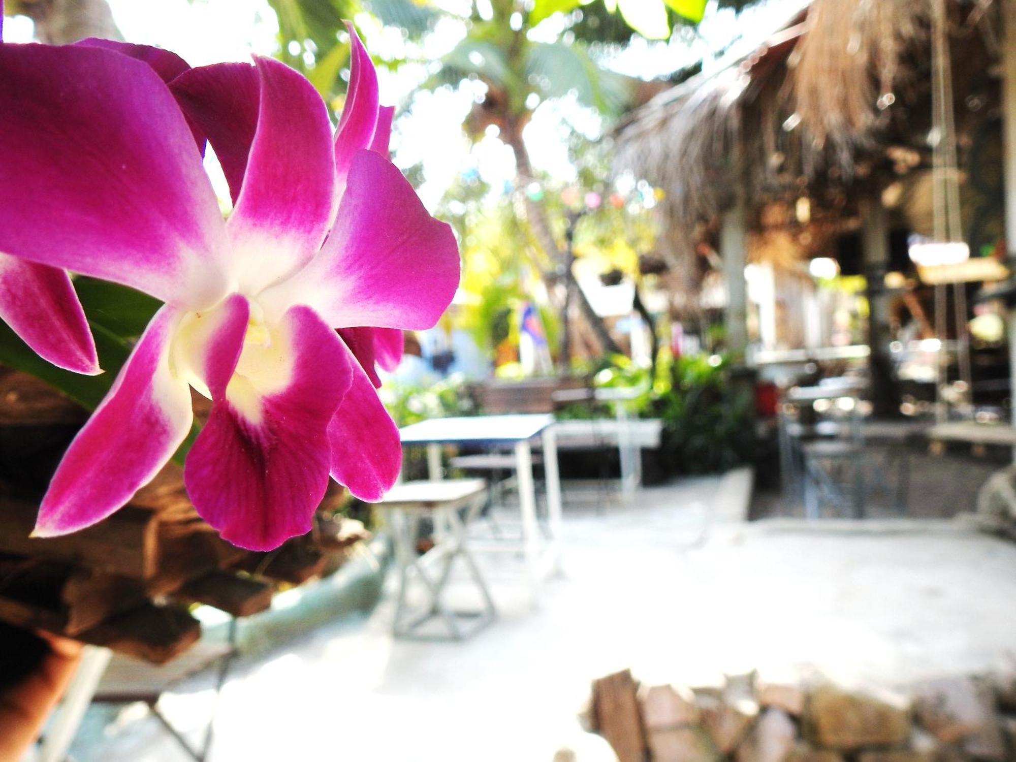 Spicy23 - M' Pai Bay Hostel Sihanoukville Kültér fotó